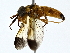  ( - BIOUG77706-D10)  @11 [ ] CreativeCommons - Attribution (2022) CBG Photography Group Centre for Biodiversity Genomics