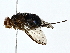  ( - BIOUG77707-A10)  @11 [ ] CreativeCommons - Attribution (2022) CBG Photography Group Centre for Biodiversity Genomics