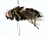  ( - BIOUG77707-E02)  @11 [ ] CreativeCommons - Attribution (2022) CBG Photography Group Centre for Biodiversity Genomics