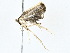  ( - BIOUG77708-A11)  @11 [ ] CreativeCommons - Attribution (2022) CBG Photography Group Centre for Biodiversity Genomics