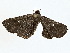  ( - BIOUG77708-B02)  @11 [ ] CreativeCommons - Attribution (2022) CBG Photography Group Centre for Biodiversity Genomics