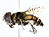  ( - BIOUG77708-C02)  @11 [ ] CreativeCommons - Attribution (2022) CBG Photography Group Centre for Biodiversity Genomics