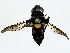  ( - BIOUG77710-D04)  @11 [ ] CreativeCommons - Attribution (2022) CBG Photography Group Centre for Biodiversity Genomics