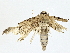  ( - BIOUG77710-E04)  @11 [ ] CreativeCommons - Attribution (2022) CBG Photography Group Centre for Biodiversity Genomics