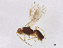  ( - BIOUG79571-B10)  @11 [ ] CreativeCommons - Attribution Share - Alike (2024) CBG Photography Group Centre for Biodiversity Genomics