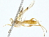  ( - BIOUG80713-C05)  @11 [ ] CreativeCommons - Attribution (2022) CBG Photography Group Centre for Biodiversity Genomics