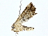  ( - BIOUG80714-A09)  @11 [ ] CreativeCommons - Attribution (2022) CBG Photography Group Centre for Biodiversity Genomics