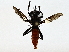  ( - BIOUG80715-G08)  @11 [ ] CreativeCommons - Attribution (2022) CBG Photography Group Centre for Biodiversity Genomics