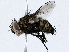  ( - CBG-A02849-C08)  @11 [ ] CreativeCommons - Attribution (2023) CBG Photography Group Centre for Biodiversity Genomics