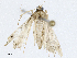  ( - CBG-A02849-D06)  @11 [ ] CreativeCommons - Attribution (2023) CBG Photography Group Centre for Biodiversity Genomics