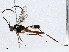  ( - CBG-A02849-E07)  @11 [ ] CreativeCommons - Attribution (2023) CBG Photography Group Centre for Biodiversity Genomics