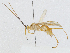  ( - CBG-A02850-C02)  @11 [ ] CreativeCommons - Attribution (2023) CBG Photography Group Centre for Biodiversity Genomics