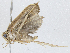  ( - CBG-A02850-D05)  @11 [ ] CreativeCommons - Attribution (2023) CBG Photography Group Centre for Biodiversity Genomics