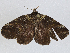  ( - CBG-A02850-E04)  @11 [ ] CreativeCommons - Attribution (2023) CBG Photography Group Centre for Biodiversity Genomics