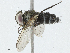  ( - CBG-A02850-H08)  @11 [ ] CreativeCommons - Attribution (2023) CBG Photography Group Centre for Biodiversity Genomics