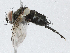  ( - CBG-A02852-C08)  @11 [ ] CreativeCommons - Attribution (2023) CBG Photography Group Centre for Biodiversity Genomics