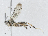  ( - CBG-A02852-E09)  @11 [ ] CreativeCommons - Attribution (2023) CBG Photography Group Centre for Biodiversity Genomics