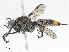  ( - CBG-A02853-G02)  @11 [ ] CreativeCommons - Attribution (2023) CBG Photography Group Centre for Biodiversity Genomics