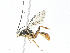  ( - CBG-A02853-H07)  @11 [ ] CreativeCommons - Attribution (2023) CBG Photography Group Centre for Biodiversity Genomics