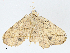  ( - CBG-A02854-F10)  @11 [ ] CreativeCommons - Attribution (2023) CBG Photography Group Centre for Biodiversity Genomics
