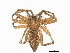  ( - BIOUG64493-H11)  @11 [ ] CreativeCommons - Attribution (2022) CBG Photography Group Centre for Biodiversity Genomics