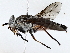  ( - BIOUG76527-F09)  @11 [ ] CreativeCommons - Attribution (2022) CBG Photography Group Centre for Biodiversity Genomics