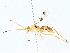  ( - BIOUG76528-B11)  @11 [ ] CreativeCommons - Attribution (2022) CBG Photography Group Centre for Biodiversity Genomics