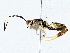  ( - BIOUG76528-C11)  @11 [ ] CreativeCommons - Attribution (2022) CBG Photography Group Centre for Biodiversity Genomics