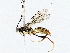  ( - BIOUG76528-D02)  @11 [ ] CreativeCommons - Attribution (2022) CBG Photography Group Centre for Biodiversity Genomics