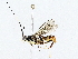  ( - BIOUG76528-F04)  @11 [ ] CreativeCommons - Attribution (2022) CBG Photography Group Centre for Biodiversity Genomics