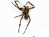  ( - BIOUG76528-H09)  @11 [ ] CreativeCommons - Attribution (2022) CBG Photography Group Centre for Biodiversity Genomics