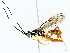  ( - BIOUG76529-B03)  @11 [ ] CreativeCommons - Attribution (2022) CBG Photography Group Centre for Biodiversity Genomics