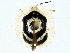  ( - BIOUG76556-E07)  @11 [ ] CreativeCommons - Attribution (2022) CBG Photography Group Centre for Biodiversity Genomics