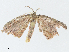  ( - CBG-A02855-C12)  @11 [ ] CreativeCommons - Attribution (2023) CBG Photography Group Centre for Biodiversity Genomics