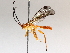  ( - BIOUG64453-E02)  @11 [ ] CreativeCommons - Attribution (2021) CBG Photography Group Centre for Biodiversity Genomics