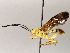  ( - BIOUG72917-G12)  @11 [ ] CreativeCommons - Attribution (2021) CBG Photography Group Centre for Biodiversity Genomics