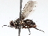  ( - BIOUG72919-B06)  @11 [ ] CreativeCommons - Attribution (2021) CBG Photography Group Centre for Biodiversity Genomics