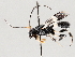  ( - BIOUG72920-F09)  @11 [ ] CreativeCommons - Attribution Non-Commercial Share-Alike (2021) CBG Photography Group Centre for Biodiversity Genomics