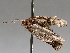  ( - BIOUG72921-C03)  @11 [ ] CreativeCommons - Attribution (2021) CBG Photography Group Centre for Biodiversity Genomics