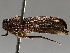  ( - BIOUG72921-C08)  @11 [ ] CreativeCommons - Attribution (2021) CBG Photography Group Centre for Biodiversity Genomics