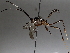  ( - BIOUG72921-F01)  @11 [ ] CreativeCommons - Attribution (2021) CBG Photography Group Centre for Biodiversity Genomics
