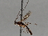  ( - BIOUG72921-G04)  @11 [ ] CreativeCommons - Attribution (2021) CBG Photography Group Centre for Biodiversity Genomics