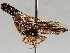  ( - BIOUG72923-D07)  @11 [ ] CreativeCommons - Attribution (2021) CBG Photography Group Centre for Biodiversity Genomics