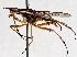  ( - BIOUG64457-A01)  @11 [ ] CreativeCommons - Attribution (2021) CBG Photography Group Centre for Biodiversity Genomics