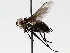  ( - BIOUG64457-A10)  @11 [ ] CreativeCommons - Attribution (2021) CBG Photography Group Centre for Biodiversity Genomics