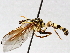  ( - BIOUG64457-A11)  @11 [ ] CreativeCommons - Attribution (2021) CBG Photography Group Centre for Biodiversity Genomics