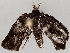  ( - BIOUG72923-G07)  @11 [ ] CreativeCommons - Attribution (2021) CBG Photography Group Centre for Biodiversity Genomics