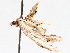  ( - BIOUG72925-A02)  @11 [ ] CreativeCommons - Attribution (2021) CBG Photography Group Centre for Biodiversity Genomics