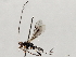  ( - BIOUG72925-D05)  @11 [ ] CreativeCommons - Attribution (2021) CBG Photography Group Centre for Biodiversity Genomics
