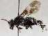  ( - BIOUG72925-E08)  @11 [ ] CreativeCommons - Attribution (2021) CBG Photography Group Centre for Biodiversity Genomics